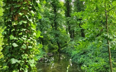 Zielono mi! Sustainability, czyli zrównoważony rozwój. Jak sprawić, by Twoja firma była green.