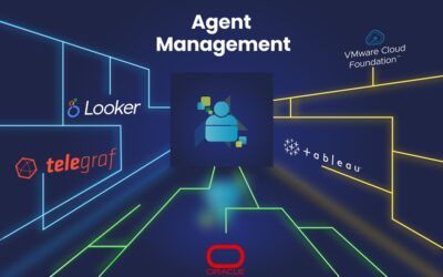 Enhancing Security Through IP Address Management and Monitoring with IP Inventory Management and phpIPAM